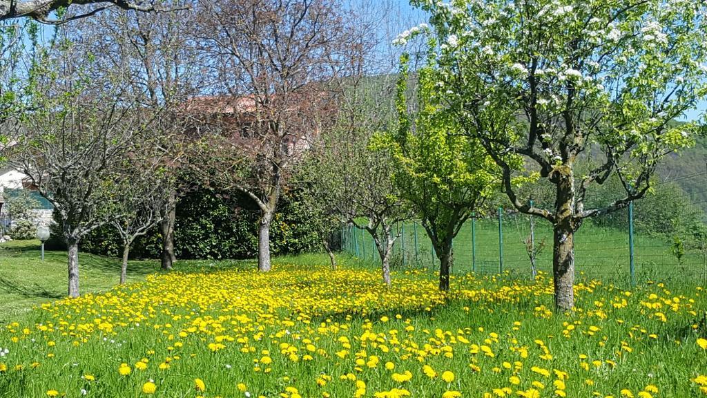 Pellio Superiore Villa San Giorgio المظهر الخارجي الصورة